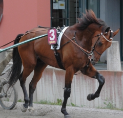 Random Shot 130808-3